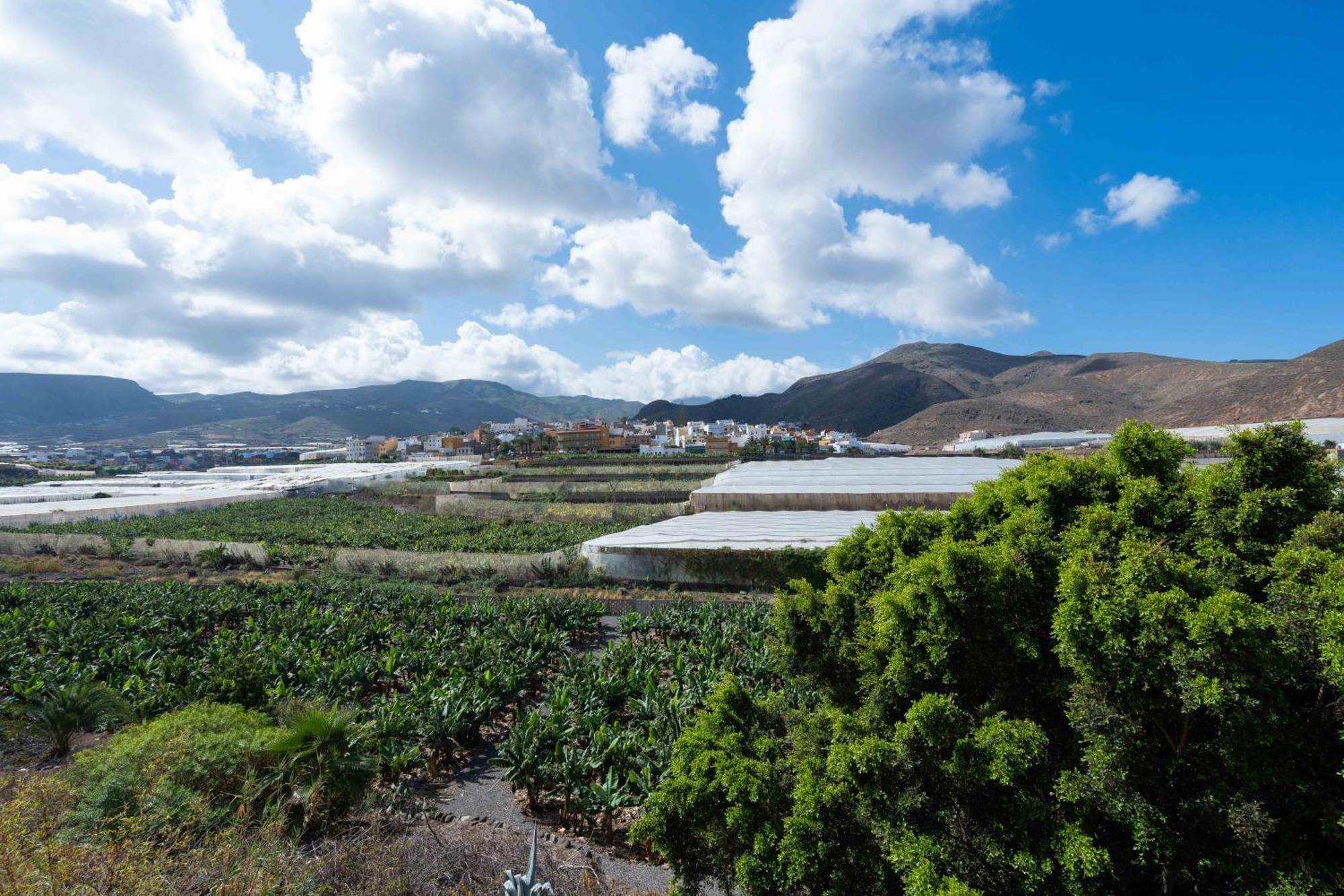 Las Fajanas De Galdar Las Palmas / Gran Canaria Exterior foto