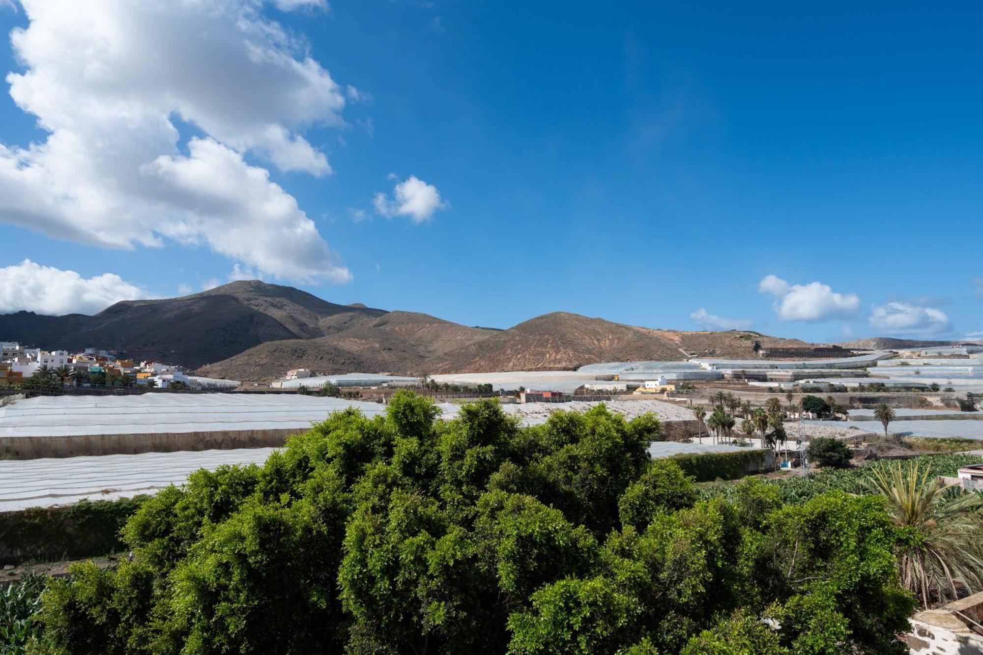 Las Fajanas De Galdar Las Palmas / Gran Canaria Exterior foto